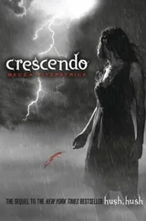 Becca Fitzpatrick - Crescendo