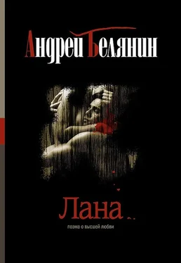 Андрей Белянин Лана обложка книги