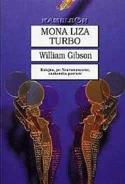 William Gibson Mona Liza Turbo обложка книги