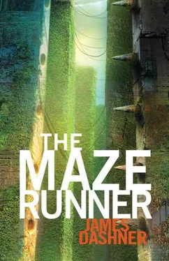 Джеймс Дашнер THE MAZE RUNNER обложка книги