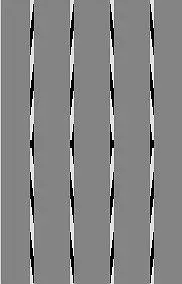 Это параллельные прямые Иллюзия Перельмана Буквы на самом деле - фото 8