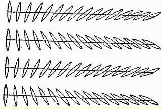 Еще одни параллельные прямые Иллюзия Липпса Центральные части линий - фото 10