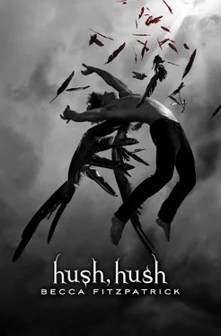 Бекка Фицпатрик Hush, Hush обложка книги