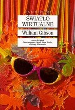 William Gibson Światło wirtualne обложка книги