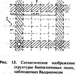 Наиболее сильные полосы сила определяется числом оборотов лозыиндикатора - фото 13
