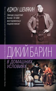 Джон Шемякин Дикий барин в домашних условиях [сборник] обложка книги