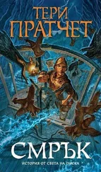 Терри Пратчетт - Смрък