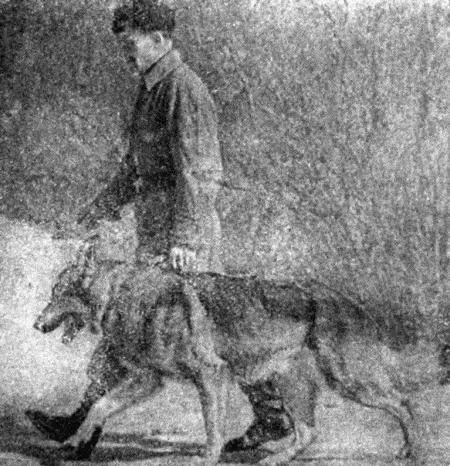 Рис 14 Движение собаки рядом с дрессировщиком Перед началом движения собаку - фото 17