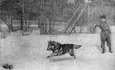 Рис 21 Подача брошенного предмета Как только собака схватит предмет - фото 24