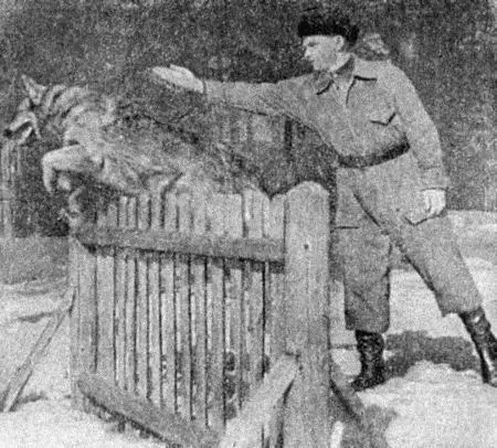 Рис 24 Преодоление изгороди Высота барьера 18 м установленная при - фото 27