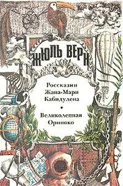 Жюль Верн Россказни Жана-Мари Кабидулена обложка книги