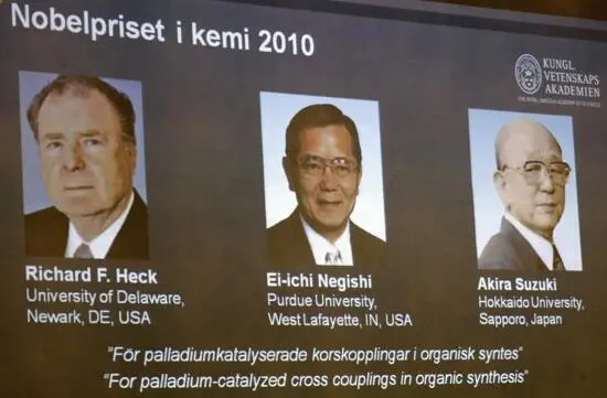 На обладание Нобелевской премии по химии 2010 года претендовалитакже - фото 4