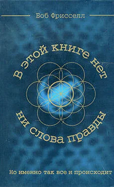 Боб Фрисселл В этой книге нет ни слова правды, но именно так все и происходит обложка книги