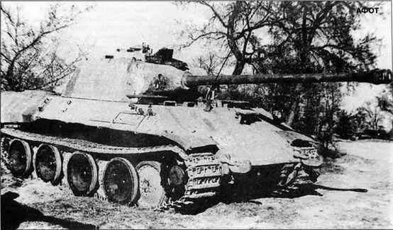 Захваченная Пантера Ausf D использовавшаяся советскими войсками В передней - фото 49
