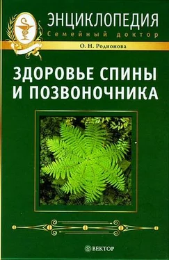 Ольга Родионова Здоровье спины и позвоночника. Энциклопедия обложка книги