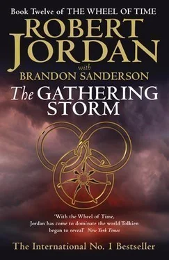 Роберт Джордан The Gathering Storm обложка книги