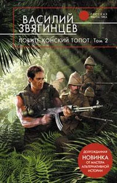 Василий Звягинцев Ловите конский топот. Том 2. Кладоискатели обложка книги