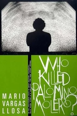 Mario Llosa Who Killed Palomino Molero? обложка книги