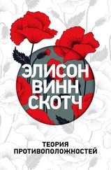 Элисон Скотч - Теория противоположностей