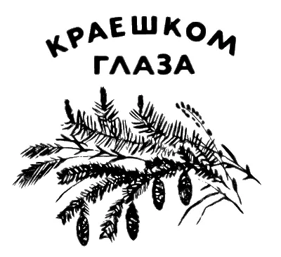 Капли солнца Бекас взлетел завилял и взвился вверх прямо к солнцу Ружьё - фото 57