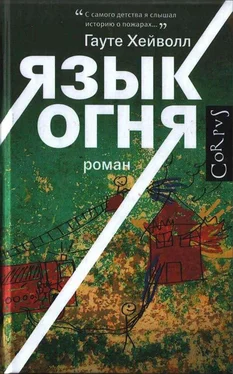 Гауте Хейволл Язык огня обложка книги