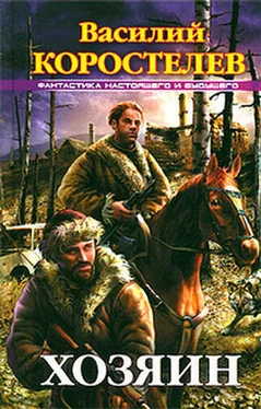 В. Коростелев Хозяин обложка книги
