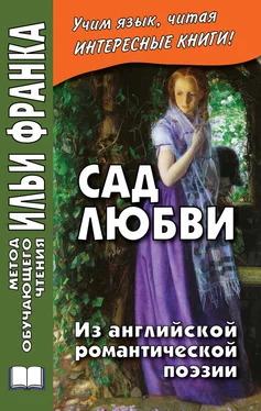 Коллектив авторов Сад любви. Из английской романтической поэзии обложка книги