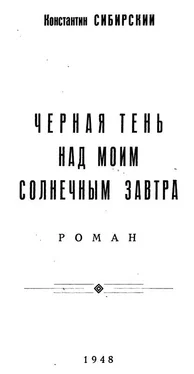 Константин Сибирский Черная тень над моим солнечным завтра обложка книги