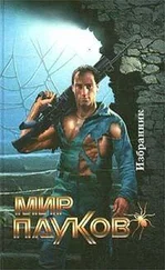 Александр Лидин - Избранник