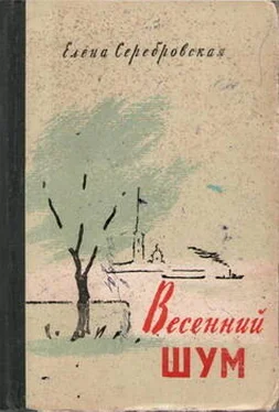 Елена Серебровская Весенний шум обложка книги