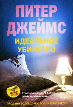 Питер Джеймс Идеальное убийство обложка книги