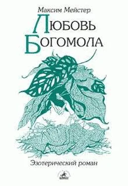 Максим Мейстер Любовь Богомола обложка книги