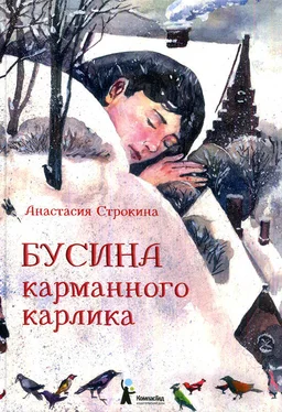 Анастасия Строкина Бусина карманного карлика обложка книги