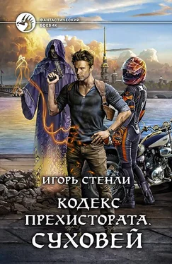 Игорь Стенли Суховей обложка книги