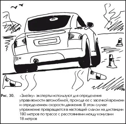 Рис 30Змейку эксперты используют для определения управляемости автомобилей - фото 30