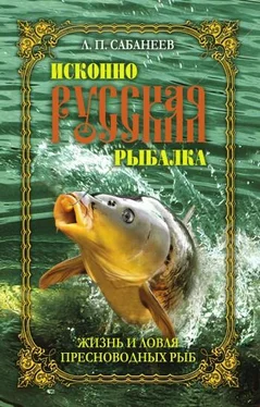 Леонид Сабанеев Жизнь и ловля пресноводных рыб обложка книги