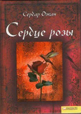 Сердар Озкан Сердце розы обложка книги