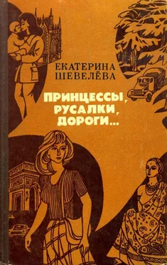 Екатерина Шевелёва Принцессы, русалки, дороги... обложка книги