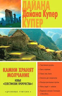 Дайана Купер Камни хранят молчание обложка книги