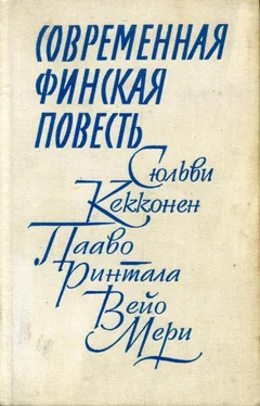 Вейо Мери Шофер господина полковника обложка книги