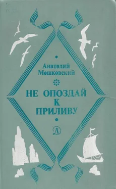 Анатолий Мошковский Не погаснет, не замерзнет обложка книги