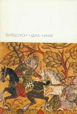 Хаким Фирдоуси Шах-наме обложка книги