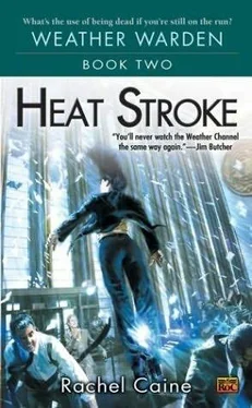 Rachel Caine Heat Stroke обложка книги