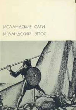 Автор неизвестен - Европейская старинная Исландские саги. Ирландский эпос