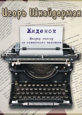 Игорь Шнайдерман Жиденок обложка книги
