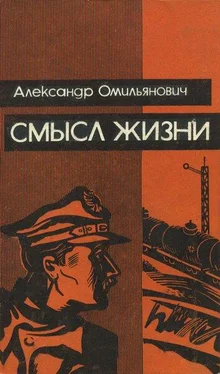 Александр. Омильянович Смысл жизни обложка книги