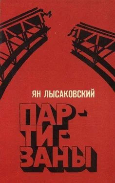 Ян Лысаковский Партизаны обложка книги