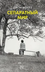 Джон Ноулз - Сепаратный мир