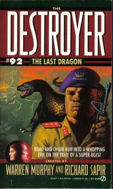 Warren Murphy The Last Dragon обложка книги