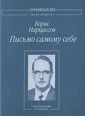 Борис Нарциссов Письмо самому себе: Стихотворения и новеллы обложка книги